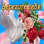 Picture открытка берегите себя с голубем