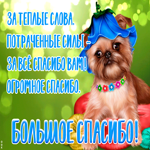 Картинка открытка большое спасибо со стихами