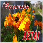 Картинка открытка чудесного лета
