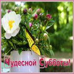 Открытка открытка чудесной субботы