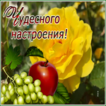 Postcard открытка чудесного настроения со спелым яблочком