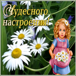 Картинка открытка для настроения с ромашками