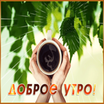 Открытка открытка доброе утречко