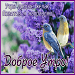 Picture открытка доброе утро, позитив я направляю