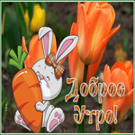 Postcard открытка доброе утро с прекрасными оранжевыми тюльпанами