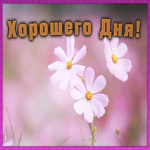 Открытка открытка хорошего дня и отличного настроения