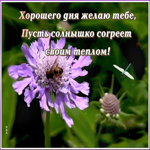 Открытка открытка хорошего дня с добрыми пожеланиями