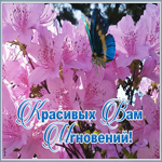 Картинка открытка красивых мгновений
