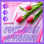 Картинка открытка красивый букет тюльпанов