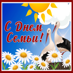 Postcard открытка международный день семьи с птицами