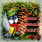 Picture открытка моим друзьям привет с веселой птичкой