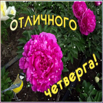 Открытка открытка отличного четверга