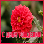 Картинка открытка поздравление с днем рождения подруге