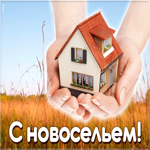 Картинка открытка поздравление с новосельем