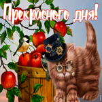 Открытка открытка прекрасного дня