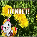 Картинка открытка привет с одуванчиками