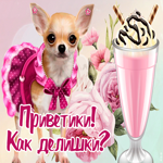 Открытка открытка привет с песиком
