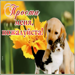 Открытка открытка прости меня пожалуйста