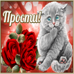 Открытка открытка прости с котиком