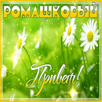 Открытка открытка ромашковый привет