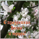 Картинка открытка с 1 мая с природой