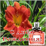 Picture открытка с днем рождения женщине с цветком и духами