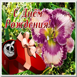 Picture открытка с днем рождения женщине с кольцом в подарок
