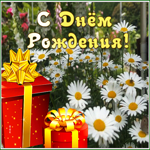 Picture открытка с днем рождения женщине с очаровательными ромашками