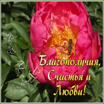 Открытка открытка с необычным пожеланием