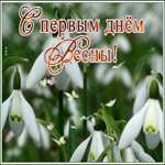 Картинка открытка с первым днем весны с подснежниками