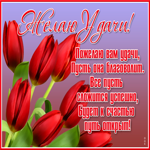 Открытка открытка с цветами стихи