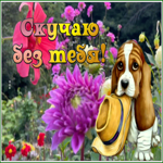Postcard открытка скучаю без тебя с песиком и цветочным садом