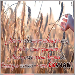 Картинка открытка скучаю со стихами