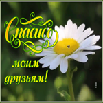 Открытка открытка спасибо друзьям