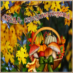 Picture открытка среда - середина недели