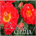 Открытка открытка цветок от всего сердца