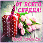 Картинка открытка тюльпаны моей любимке