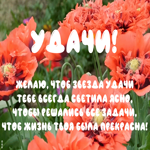 Картинка открытка удачи со стихами