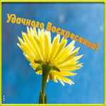 Картинка открытка удачного воскресенья