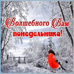 Открытка открытка волшебного понедельника