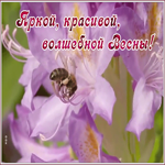 Картинка открытка волшебной весны