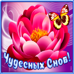 Картинка открытка волшебных снов