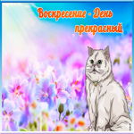 Картинка открытка воскресенье - день прекрасный