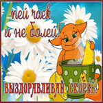 Открытка открытка выздоравливай с цветами