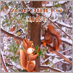 Postcard открытка хорошего дня с лесными белочками