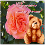 Postcard открытка хорошего настроения с мишкой и розой