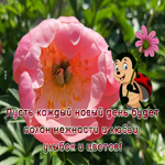 Postcard открытка желаю много нежности, улыбок и цветов