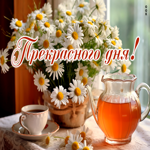 Postcard отлично выполненная открытка с ромашками прекрасного дня!