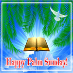 Postcard palm sunday