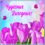 Открытка потрясающая открытка хороших выходных